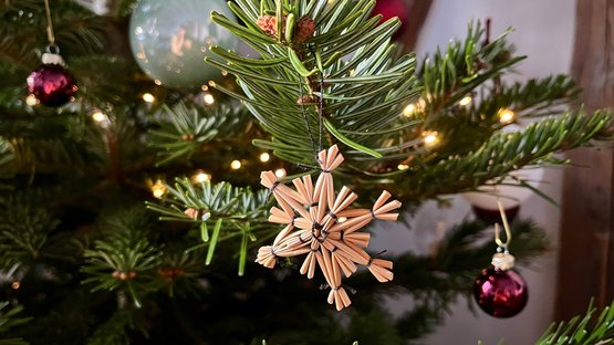 Nahaufnahme eines geschmückten Weihnachtsbaums mit grünem Tannenzweig im Vordergrund. Daran hängt ein handgefertigter Strohstern in Form einer Schneeflocke. Im Hintergrund sind kleine, warme Lichterketten und rote Christbaumkugeln zu sehen